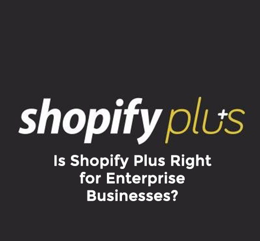 Platform Review: Is Shopify Plus Right for Enterprise Businesses?