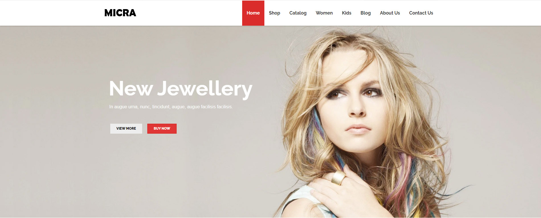 Shopify Micra Theme
