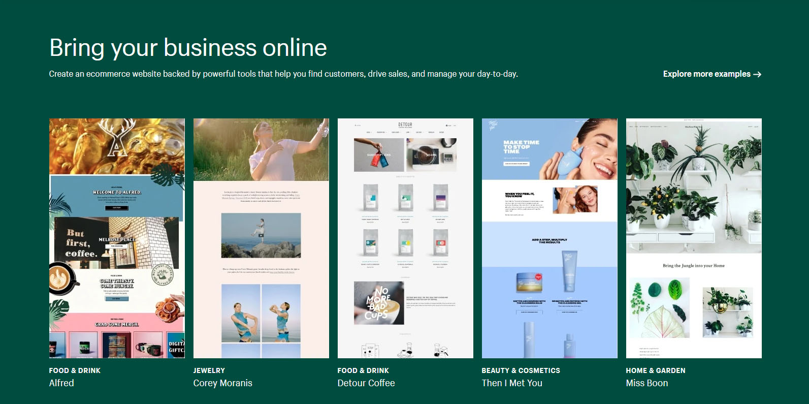 Shopify Store Examples