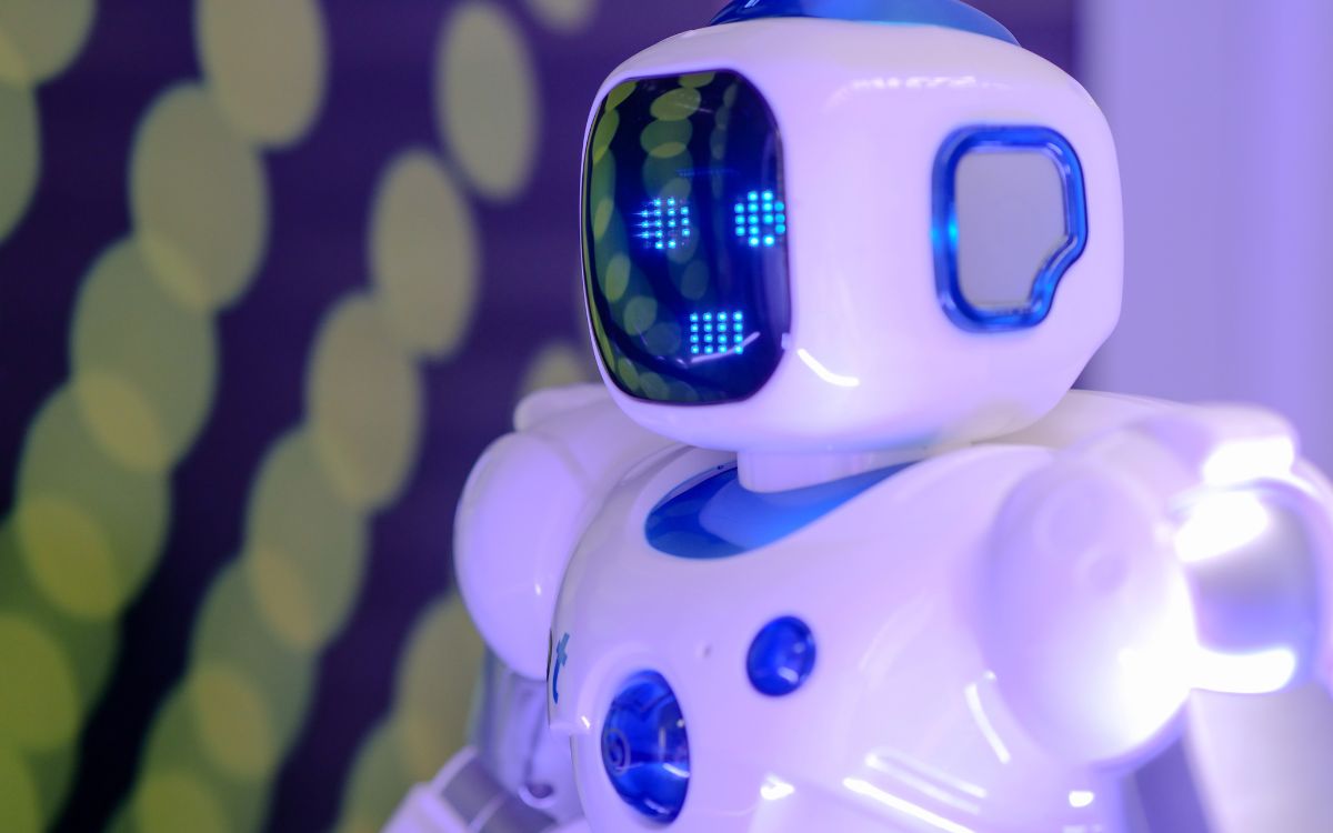 eCommerce Chat Bots